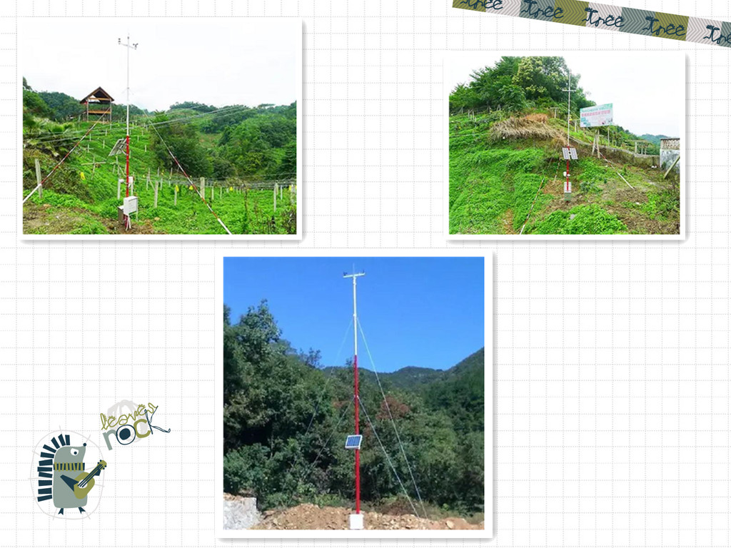 森林氣象站如何預防秋冬季節的森林火災發生